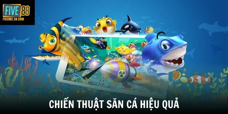 Chiến thuật săn cá hiệu quả