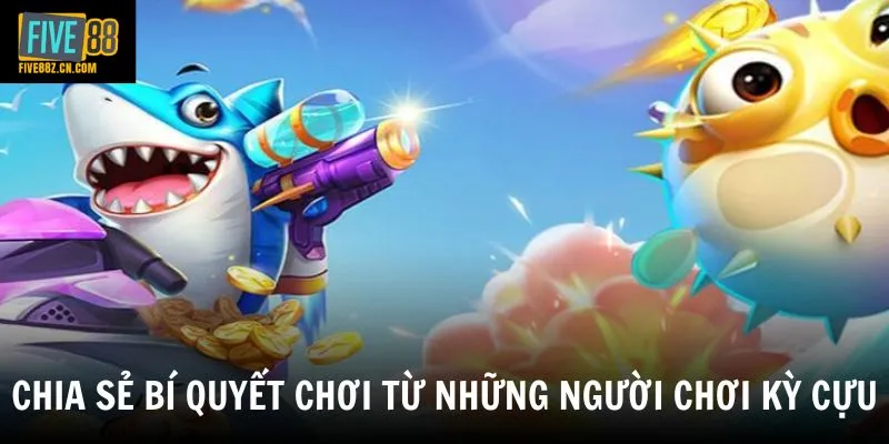 Chia sẻ bí quyết chơi từ những người chơi kỳ cựu