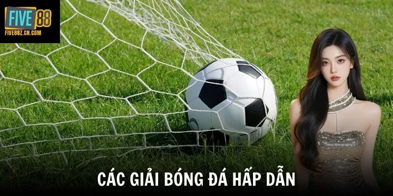 Các giải bóng đá hấp dẫn