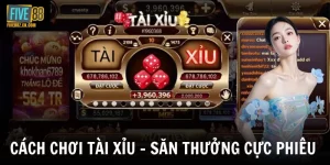 Cách Chơi Tài Xỉu - Tìm Hiểu Luật Chơi Và Cách Đặt Cược Cơ Bản