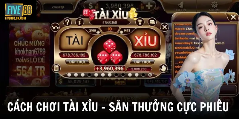 Cách Chơi Tài Xỉu - Tìm Hiểu Luật Chơi Và Cách Đặt Cược Cơ Bản