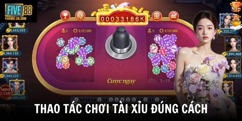 Thao tác chơi tài xỉu đúng cách
