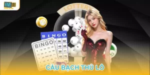 GÓC NHÌN THỰC TẾ VỀ CẦU BẠCH THỦ LÔ TẠI SẢNH CƯỢC FIVE88