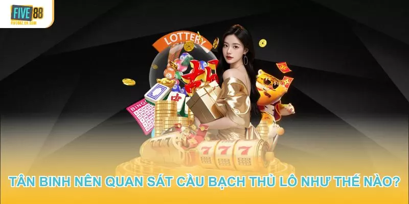 Người mới nên quan sát cầu bạch thủ lô như thế nào?