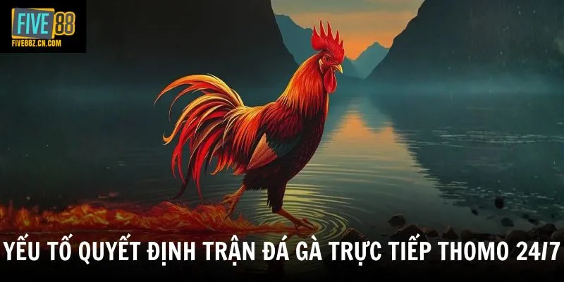 Yếu tố quyết định trận đá gà trực tiếp thomo 24/7