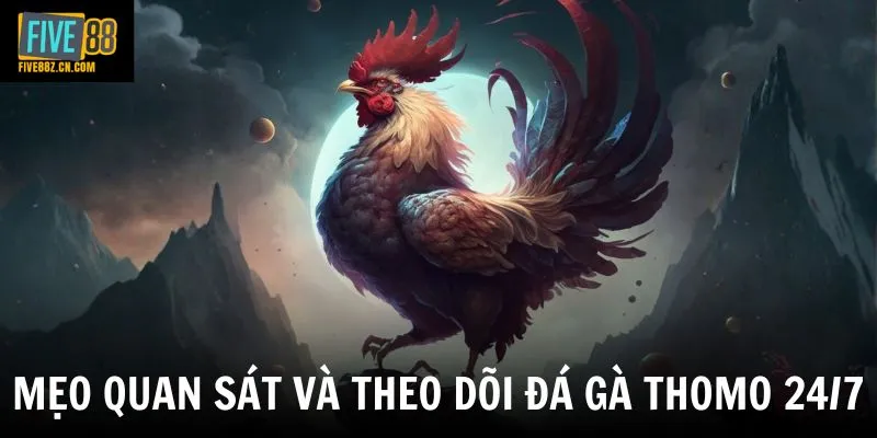 Mẹo quan sát và theo dõi đá gà thomo 24/7