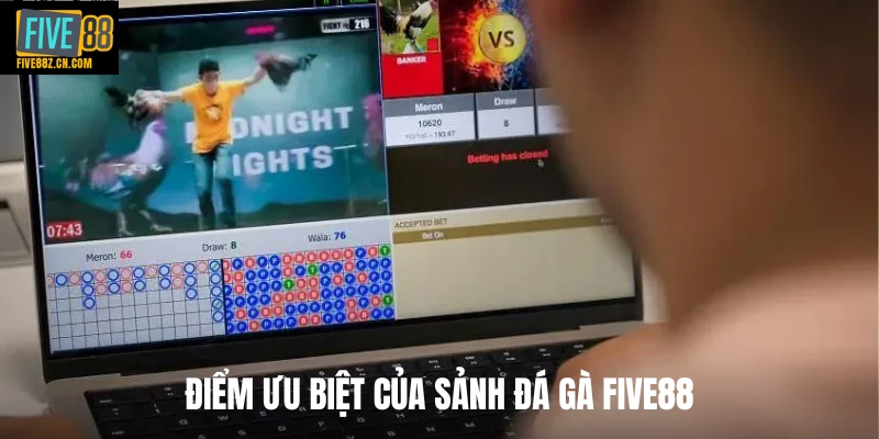 Điểm ưu biệt của sảnh đá gà Five88