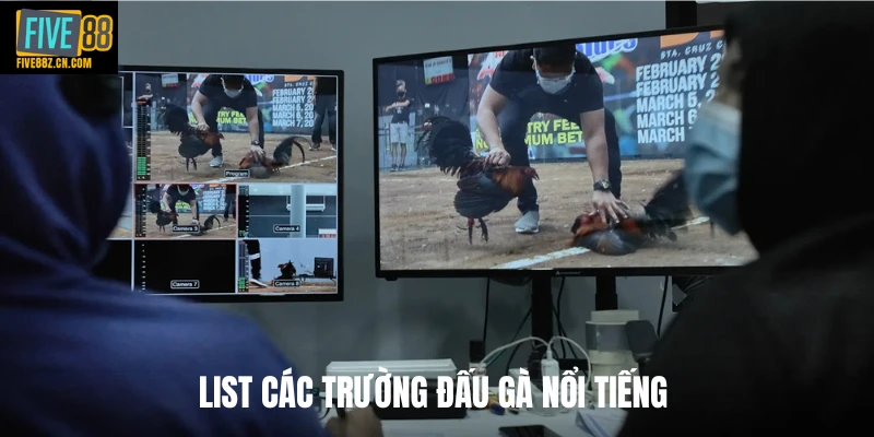 List các trường đấu gà nổi tiếng