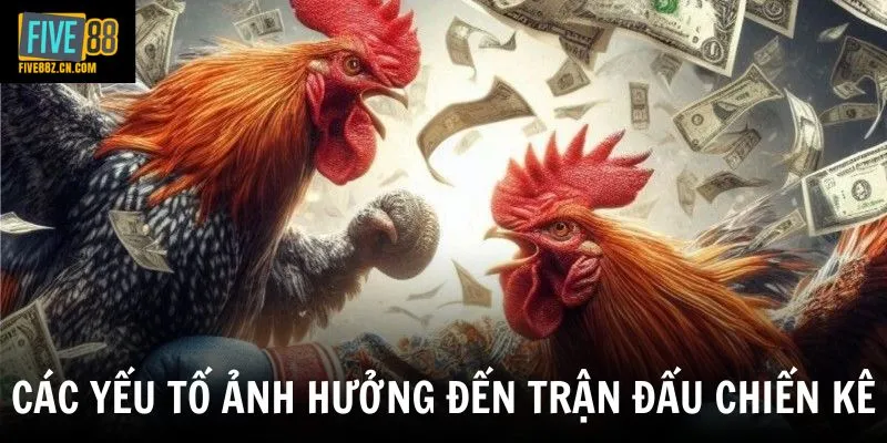 Các yếu tố ảnh hưởng đến trận đấu chiến kê
