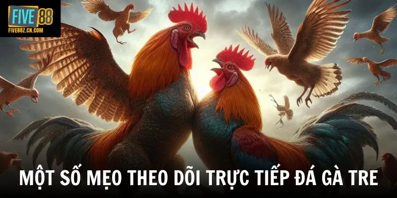 Một số mẹo theo dõi trực tiếp đá gà tre