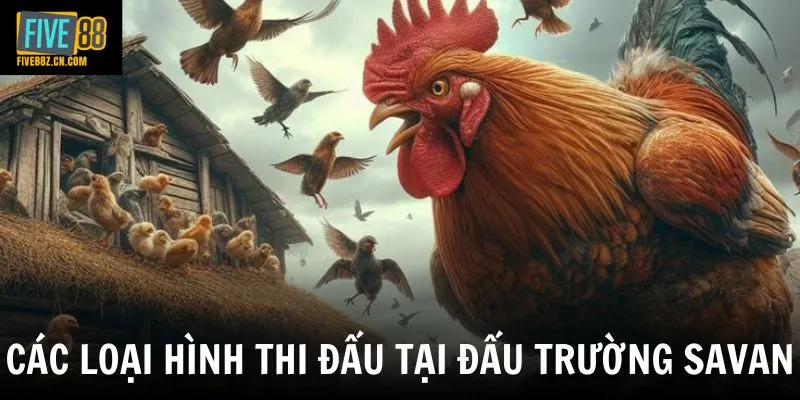 Các loại hình thi đấu tại đấu trường Savan